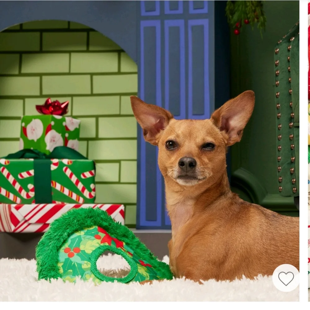 Bark Holiday Wreath Toss Dog Toss